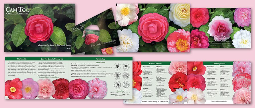 1CamTCatalog_Colat26.2