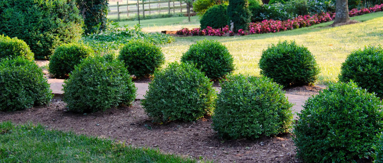 3NGLandscape_Photog26