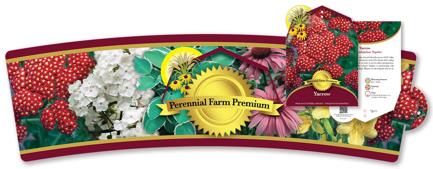 2PFPremium_POS26