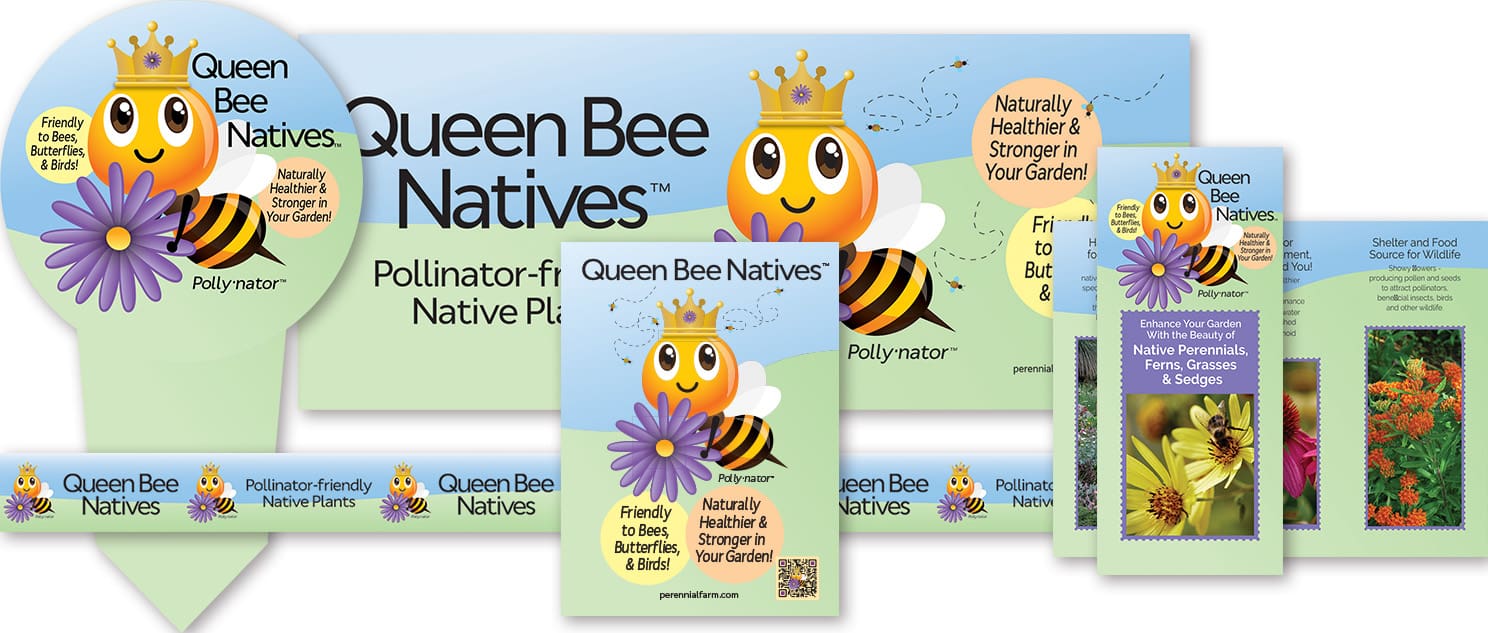 QueenBee_POS26
