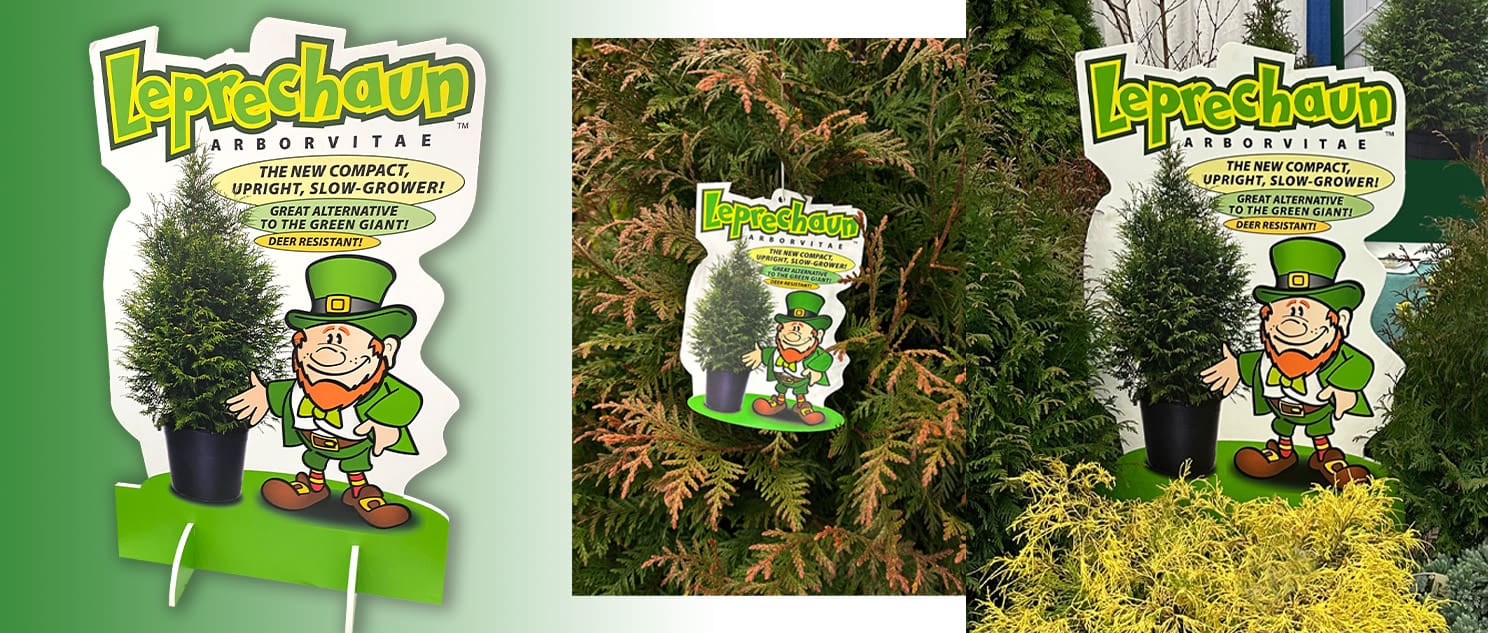 Leprechaun_TradeS26