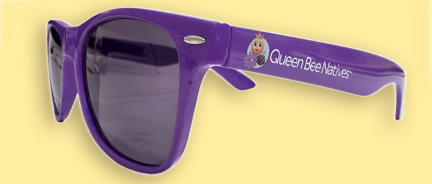 QBGlasses_Spec26
