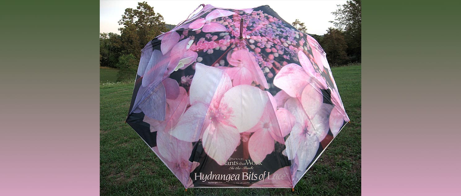 Umbrella_Spec26